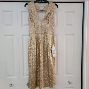 Dress the Population Women's Sleeveless V-Neck Sequin Cocktail Midi Dres…